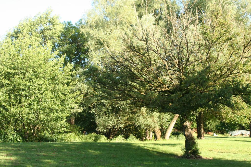Le Petit Moulin Panzió Faverelles Kültér fotó